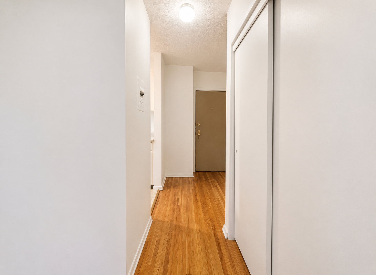 BRIGHT Updated Studio Apartment in Beautiful Mission Area!  - Photo 9