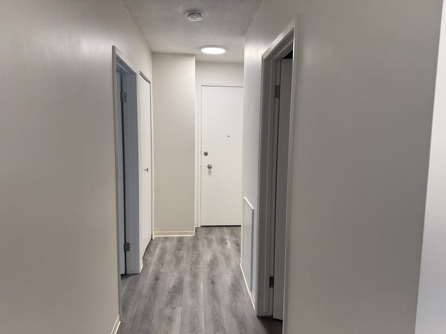 Bright & Charming 1 Bed + 1 Bath Apartment in the Heart of Mission! - Photo 3