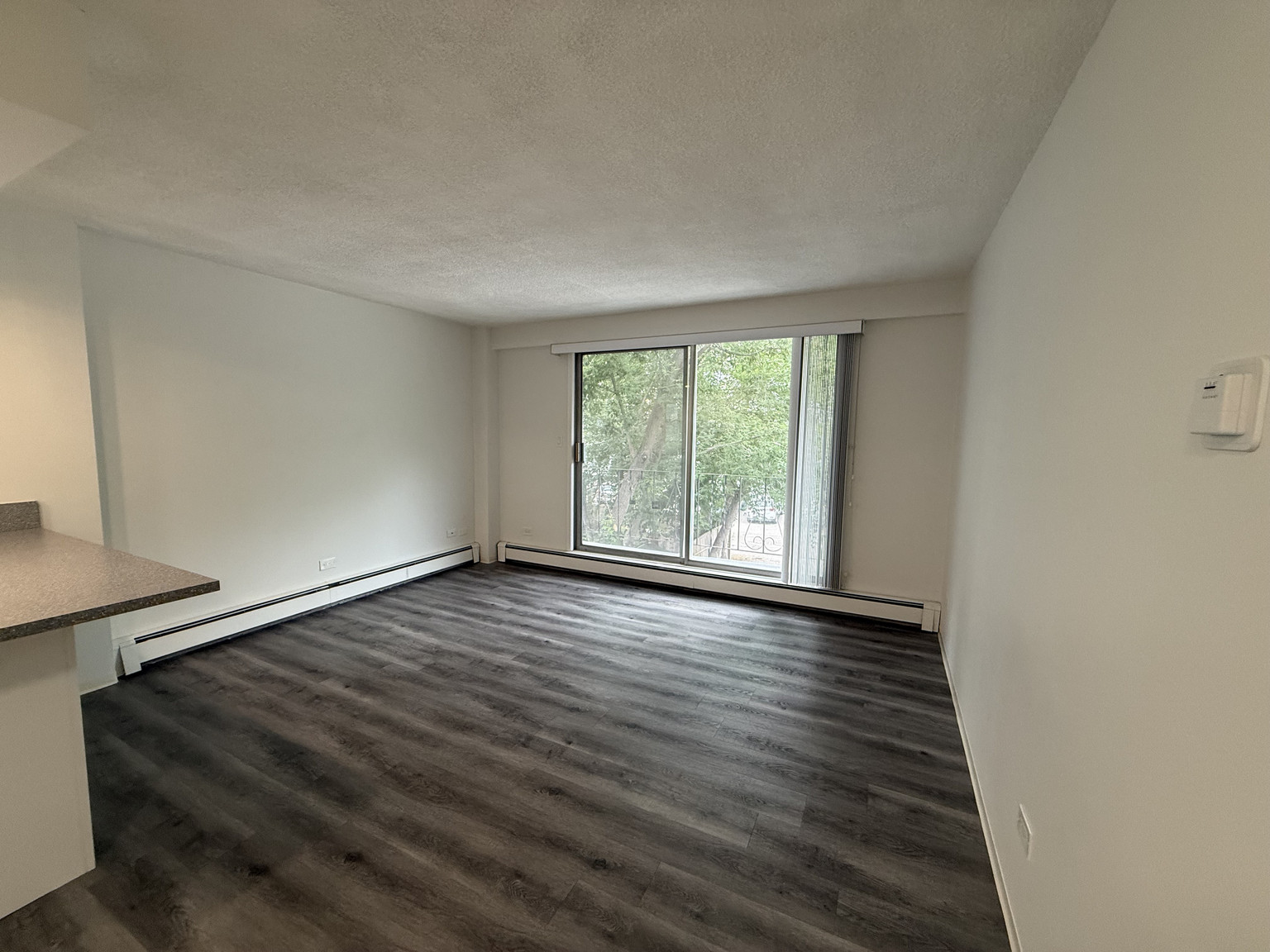 Bright & Charming 1 Bed + 1 Bath Apartment in the Heart of Mission! - Photo 14