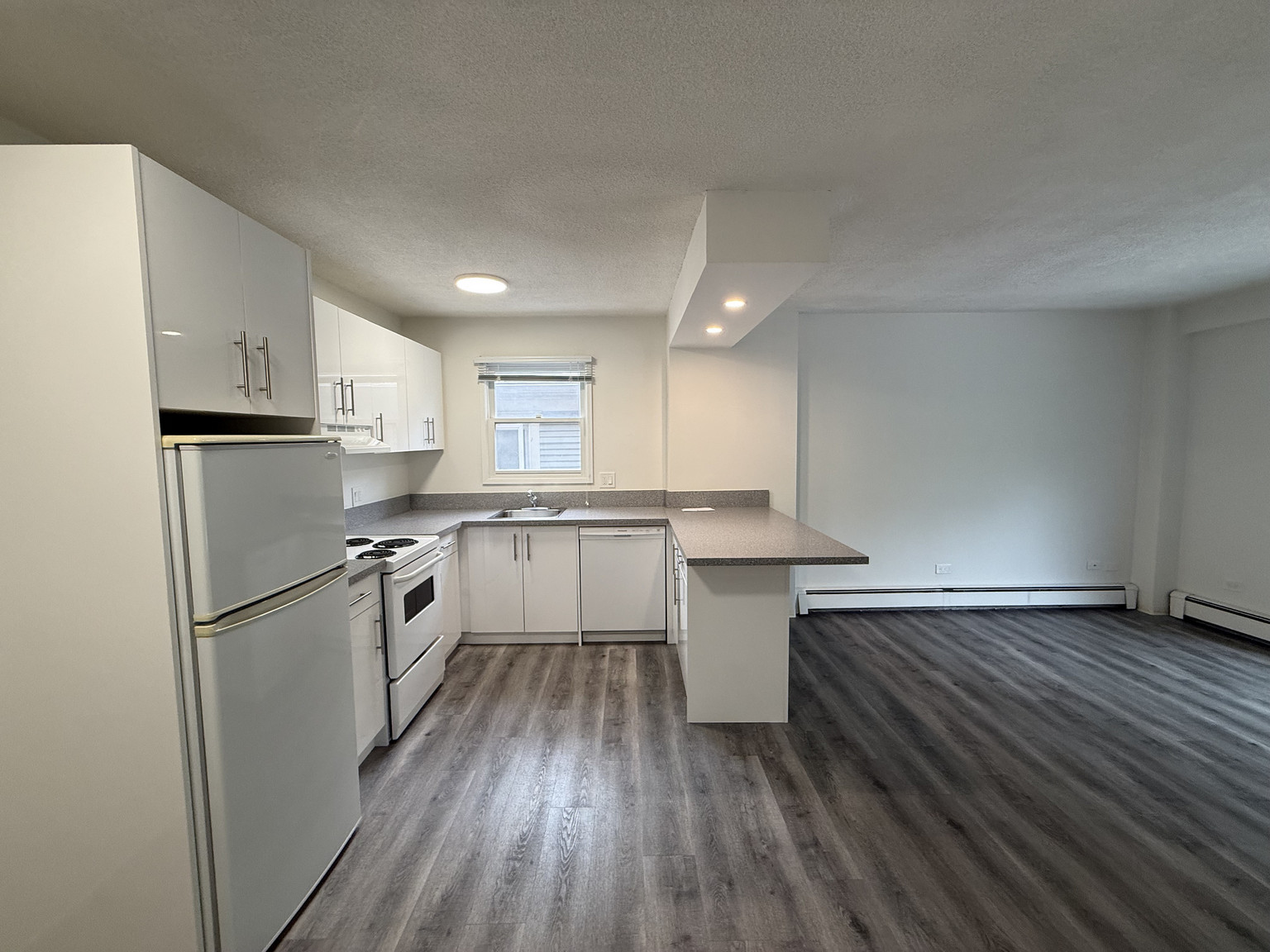 Bright & Charming 1 Bed + 1 Bath Apartment in the Heart of Mission! - Photo 8