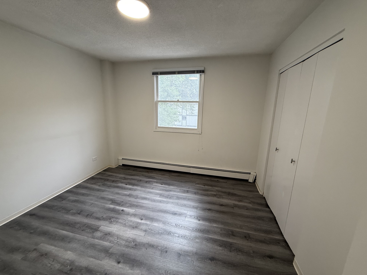 Bright & Charming 1 Bed + 1 Bath Apartment in the Heart of Mission! - Photo 4