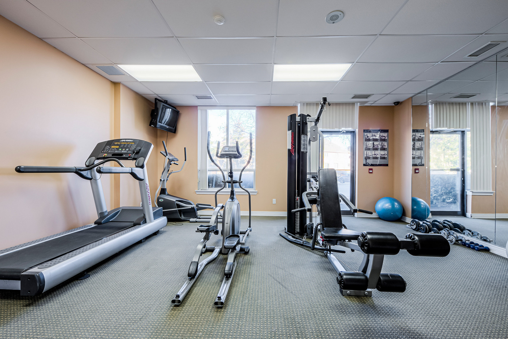 The Foresite - Photo 19