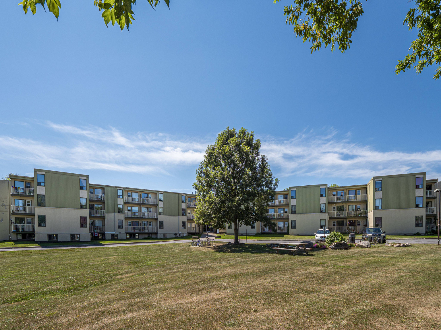 Treeview Apartments - Photo 13