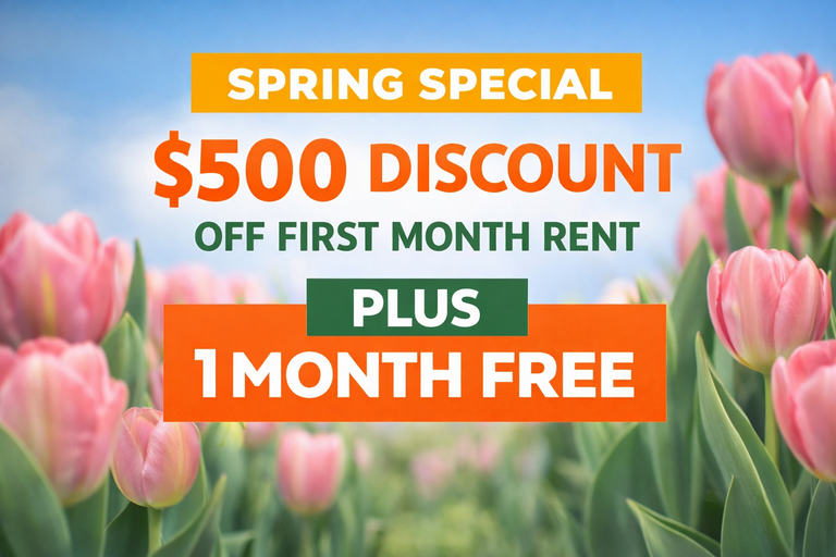 Bold Street Apartments