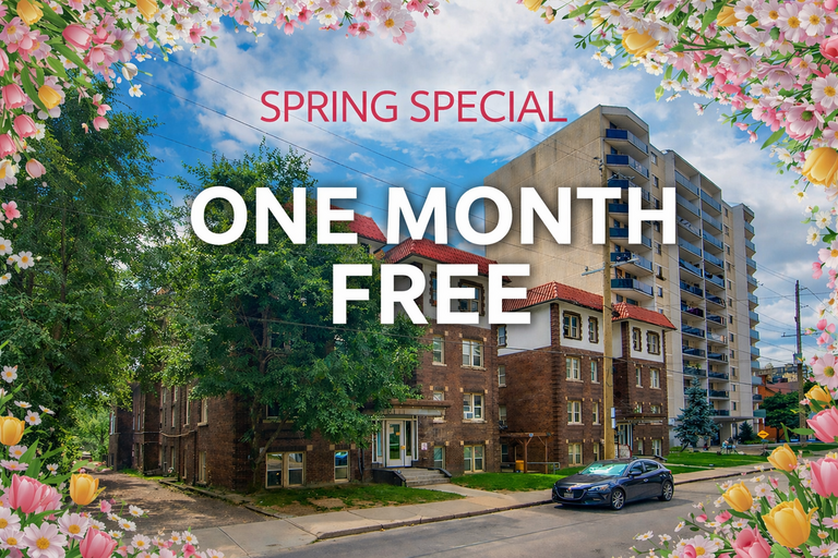 Bold Street Apartments