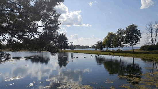 The Mica - Photo 73
