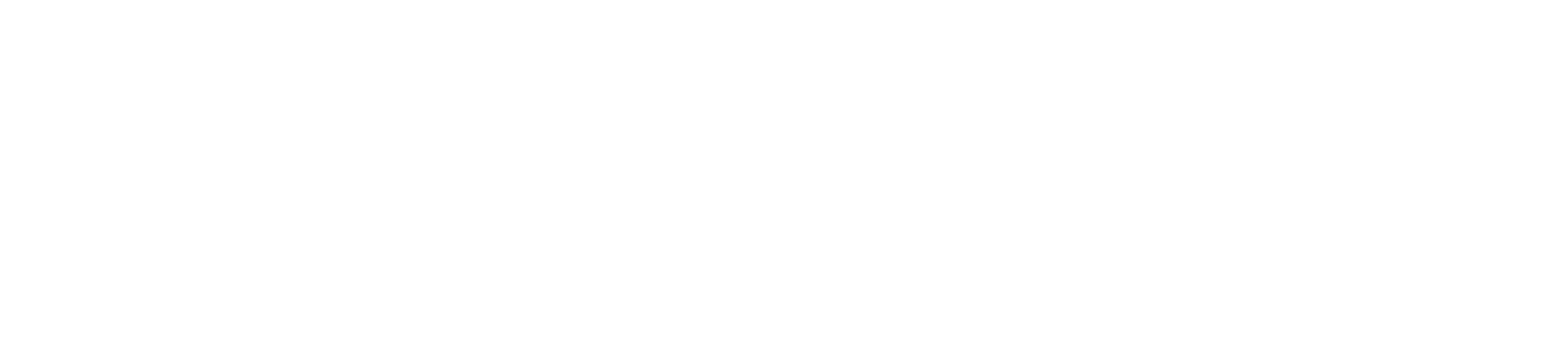 ONE-OF-A-KIND PAW SPA