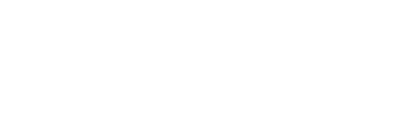 Raptors Basketball Court