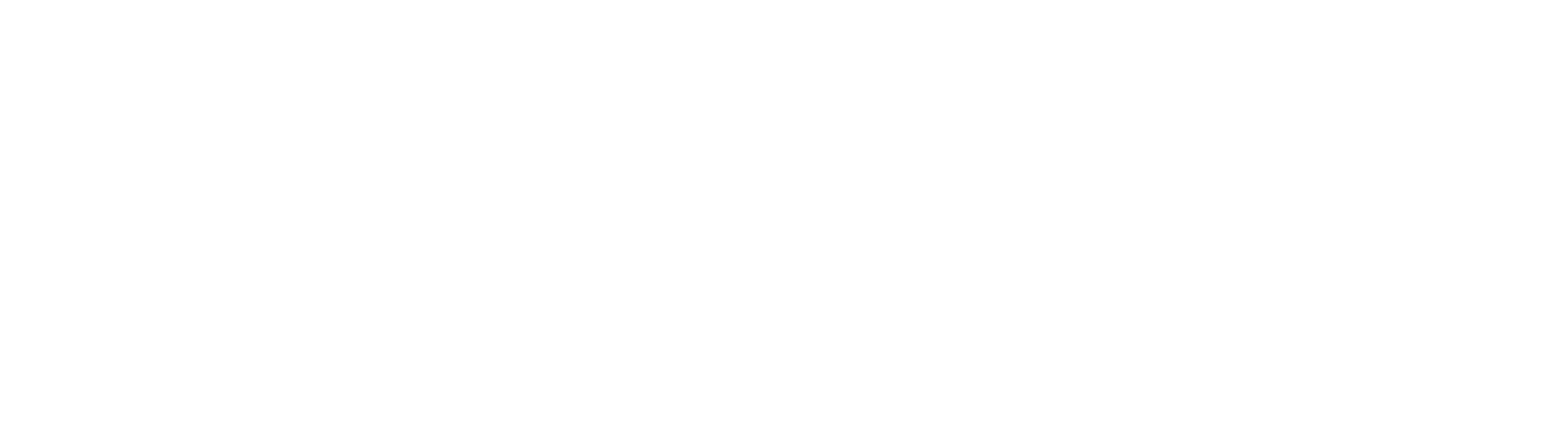 COMMERCIAL-GRADE GYM