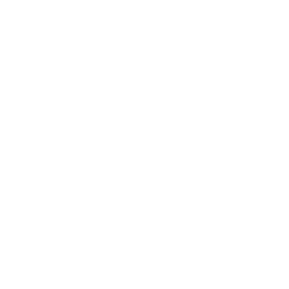 Overlay Logo