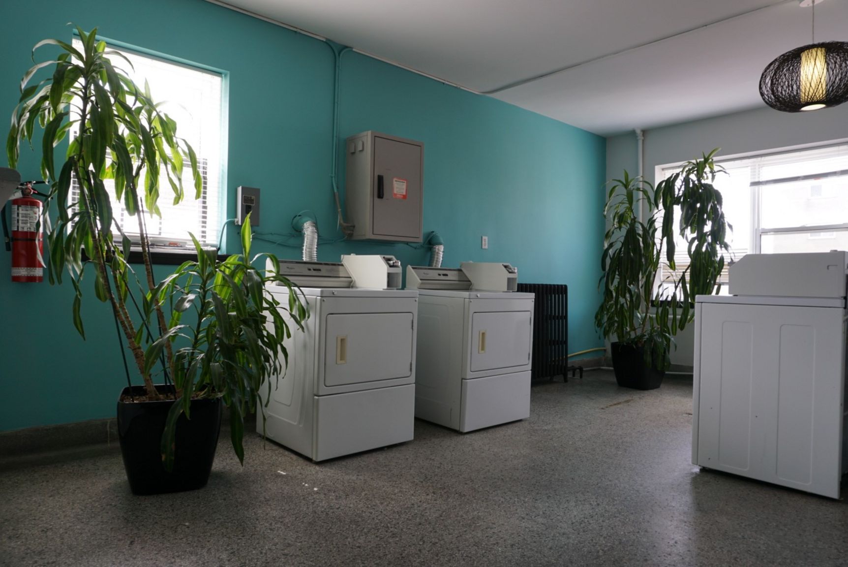 210 Chapel St. - Photo 16