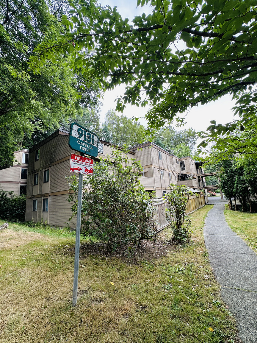9131 CAPELLA DR - Photo 3
