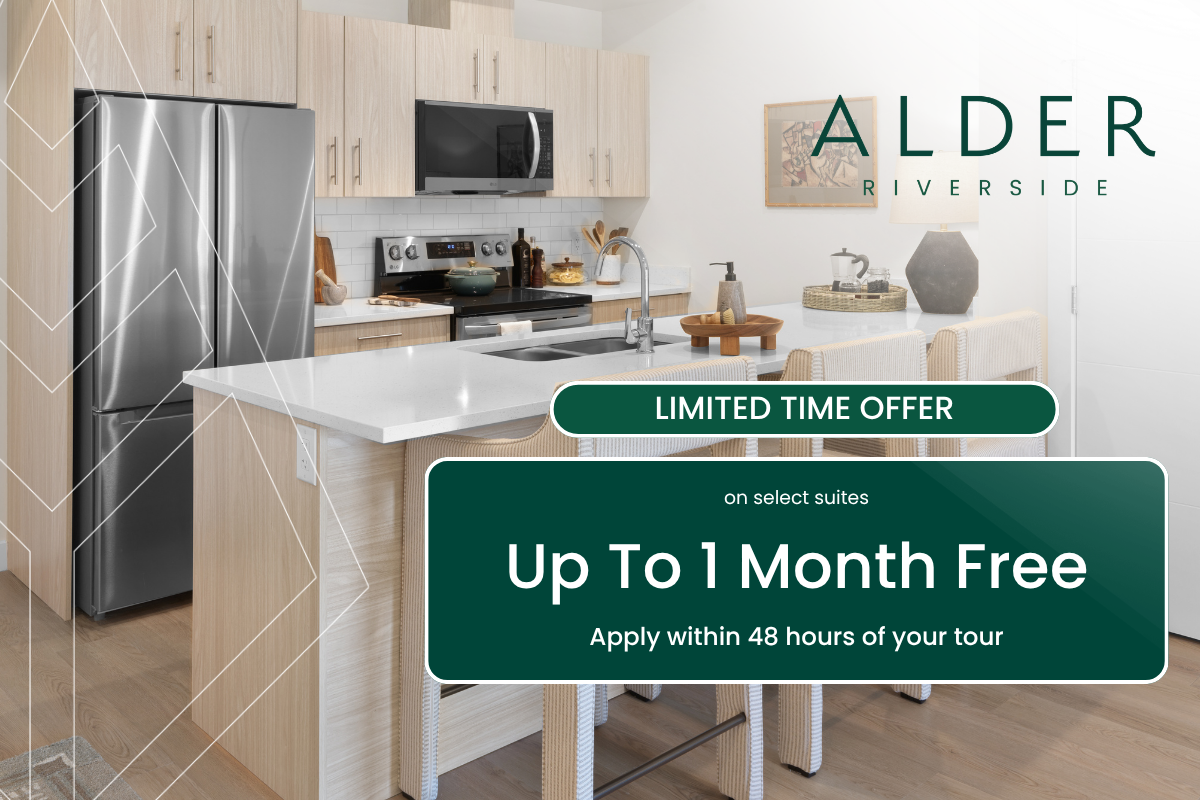 Alder