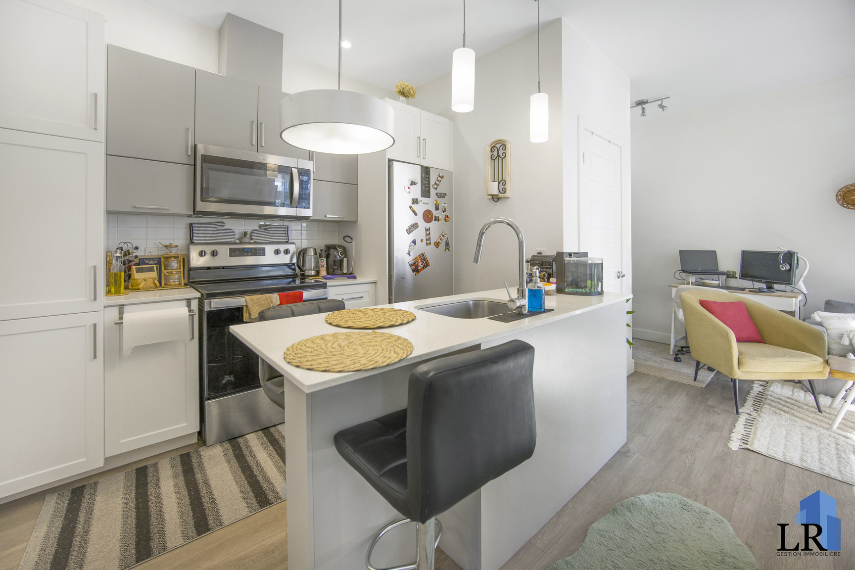 37 Rue Marjorie-D.-Shackelton — photo 3