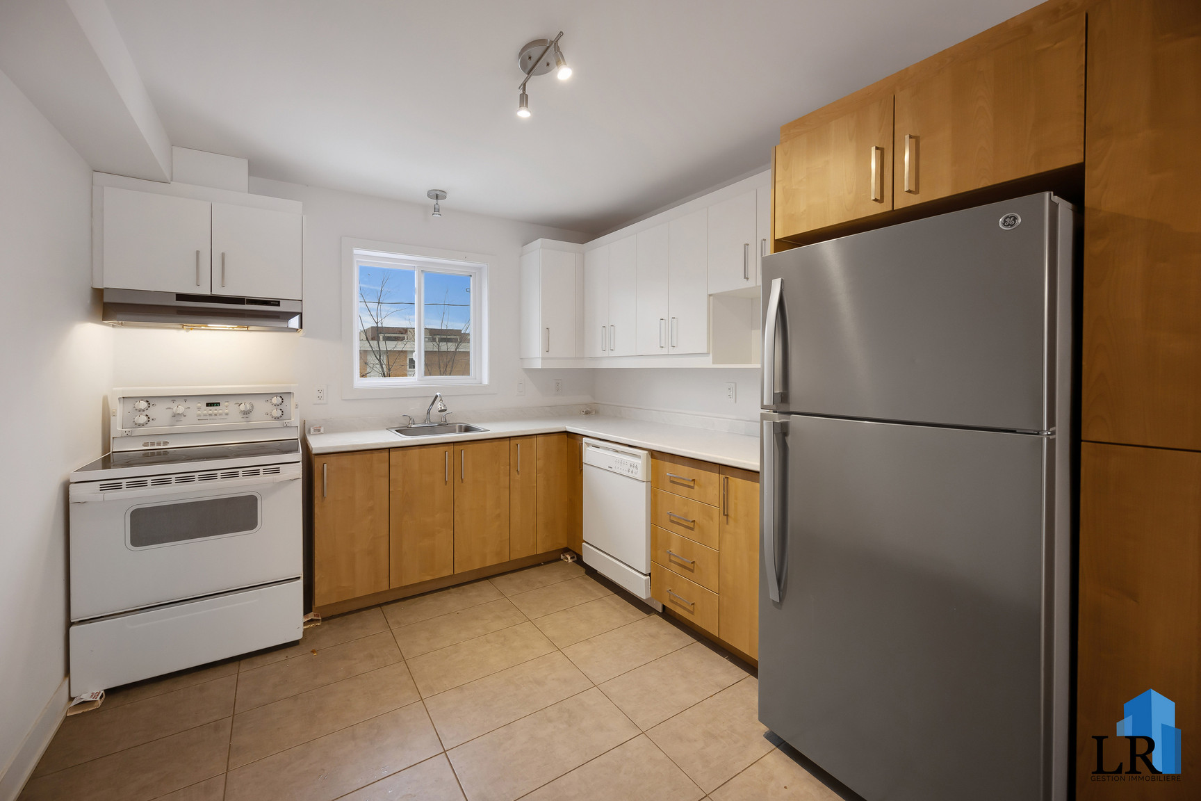 48 Rue Georges-Bilodeau — photo 2