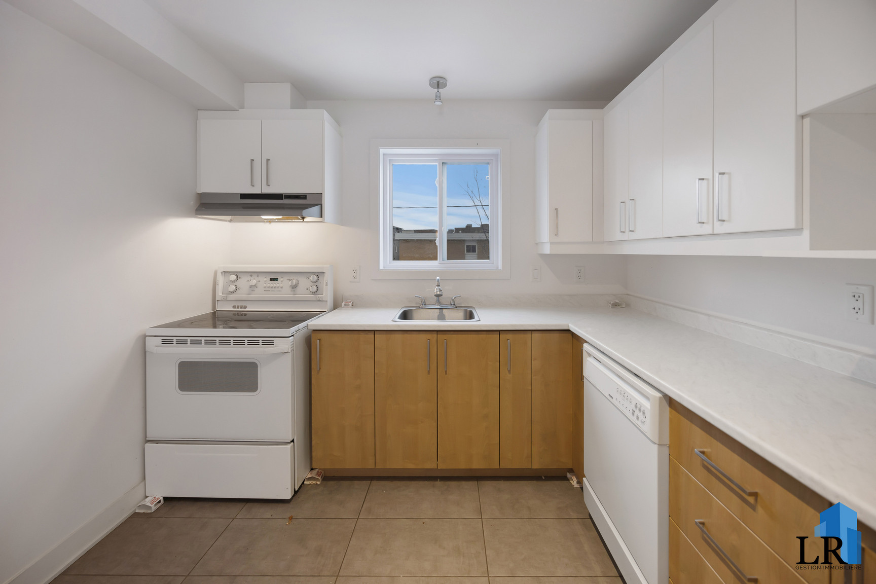 48 Rue Georges-Bilodeau — photo 3