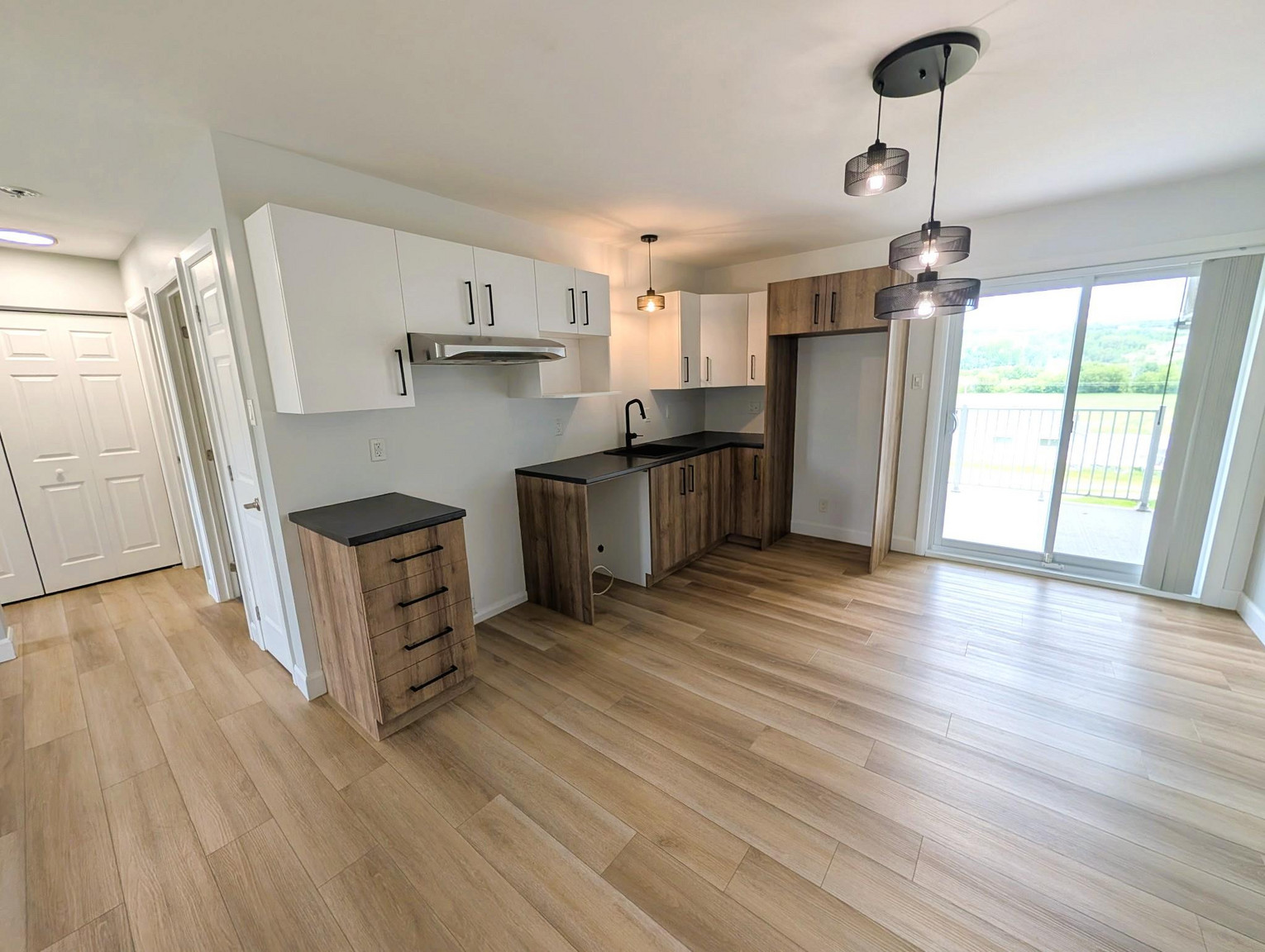 391 Avenue des Bouleaux — photo 2