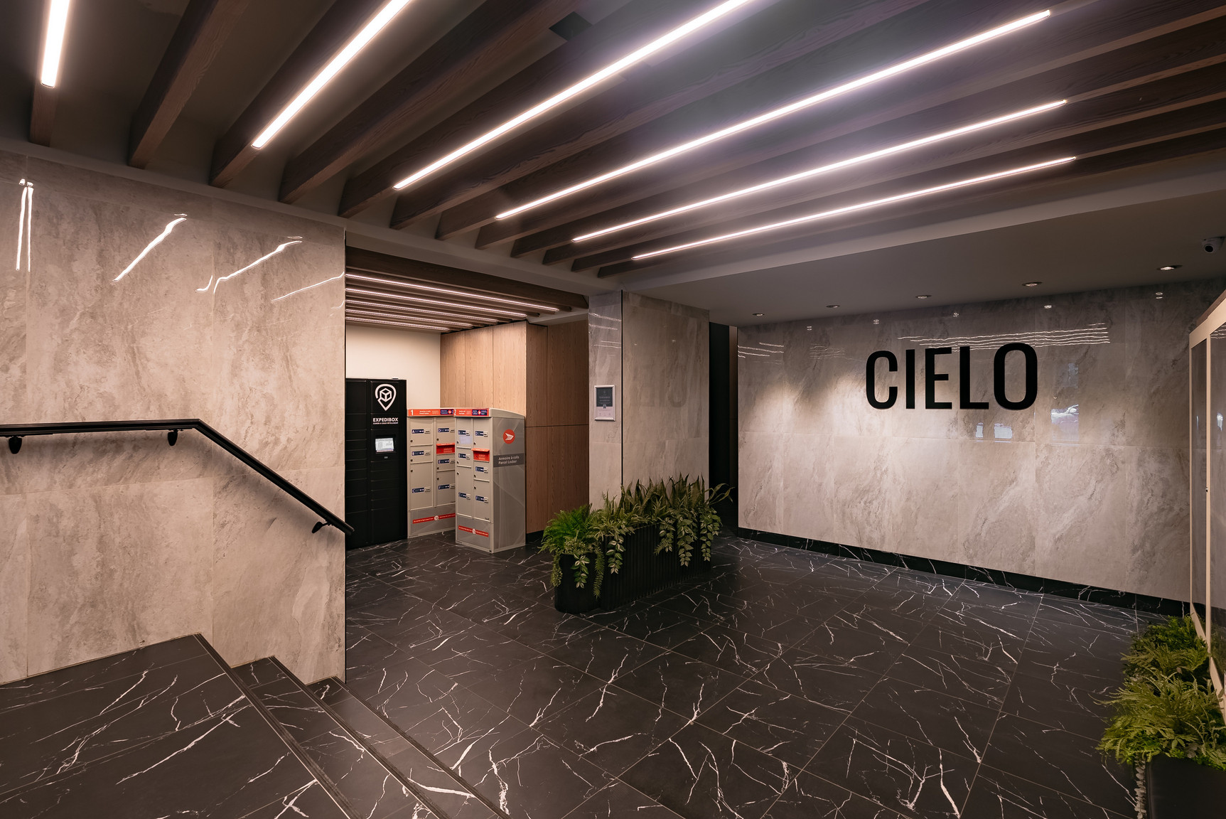 Cielo  - Photo 138