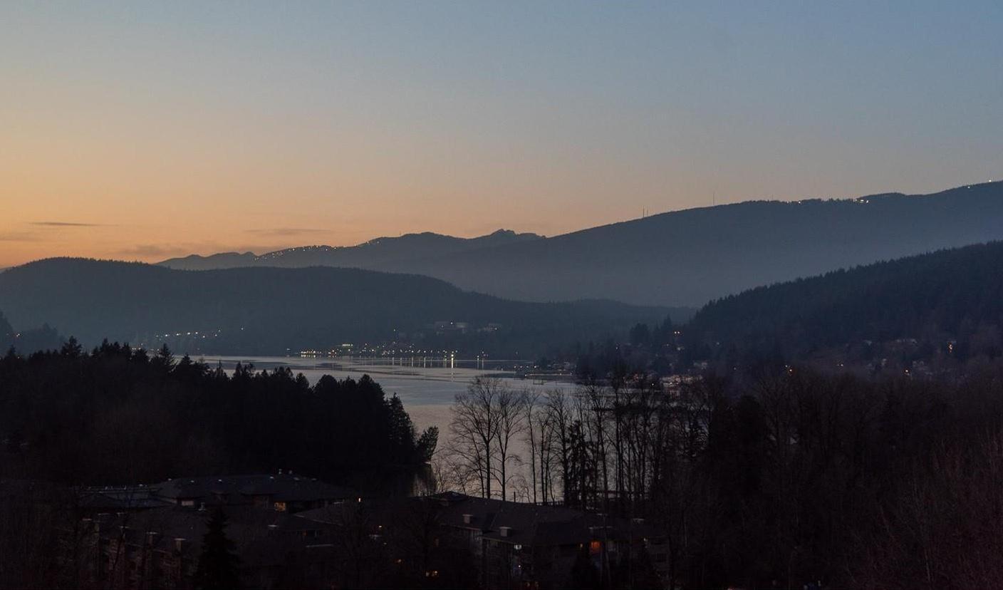 305 Morrissey Road, Port Moody - Photo 55