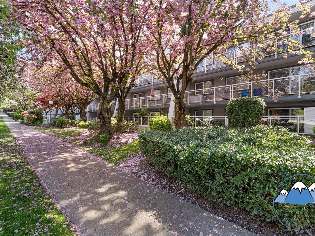 550 Royal Avenue, New Westminster - Photo 26