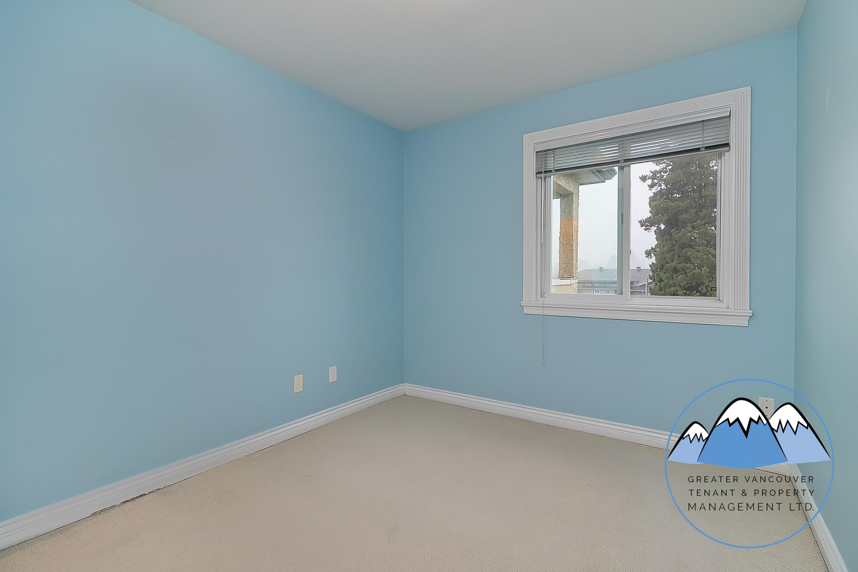 901 Cliff Ave - Photo 24