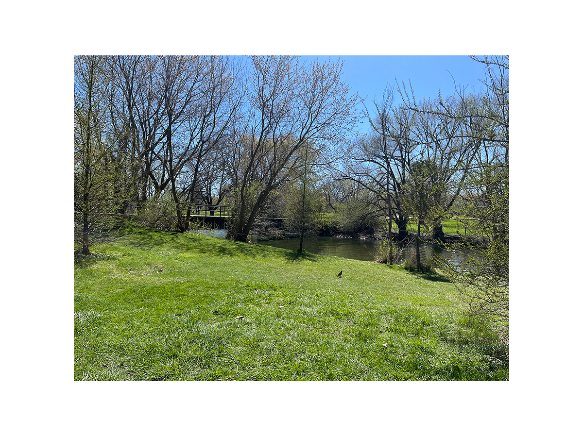 45 Forty Second St. - Photo 31