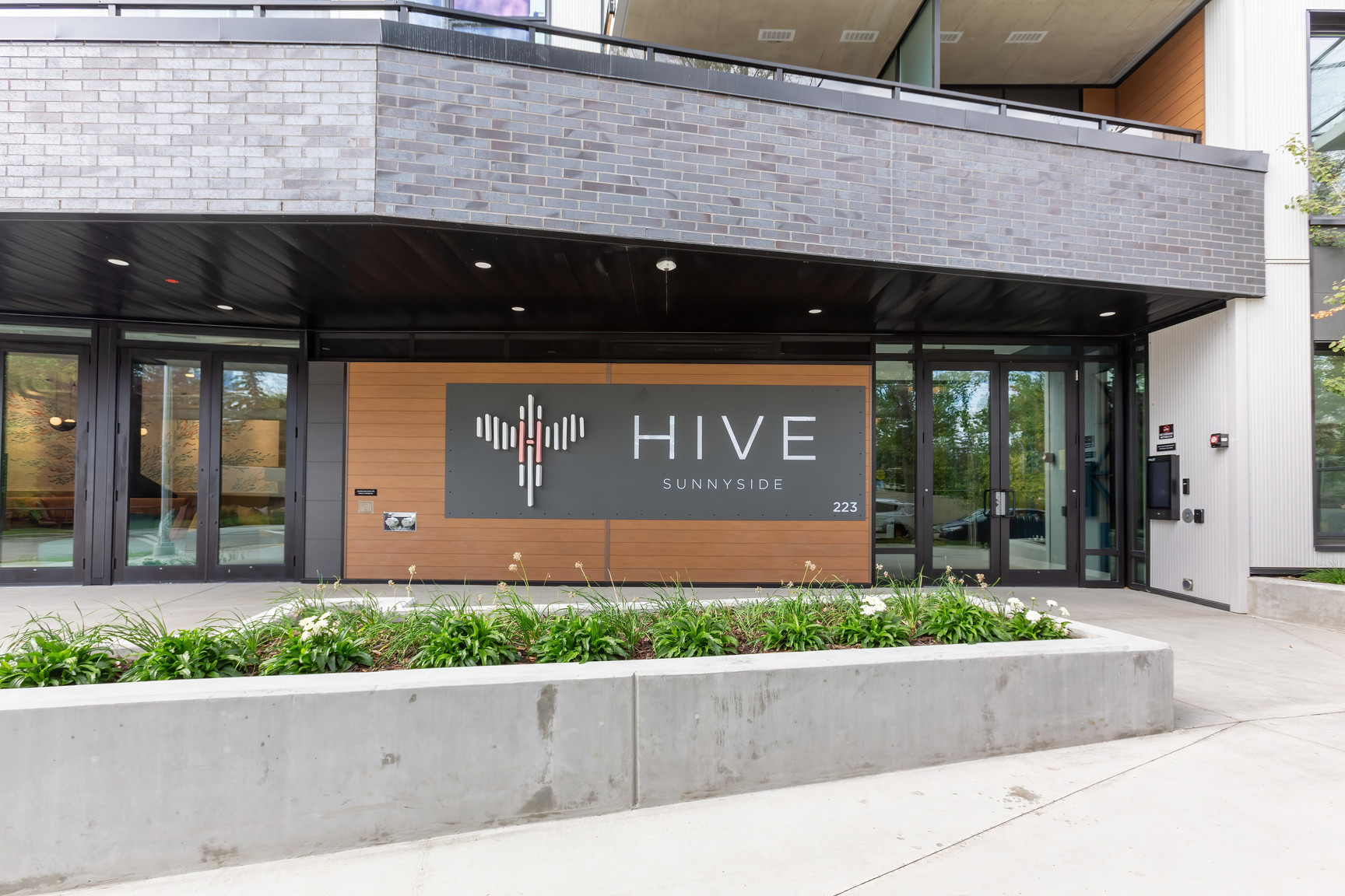 HIVE - Photo 3