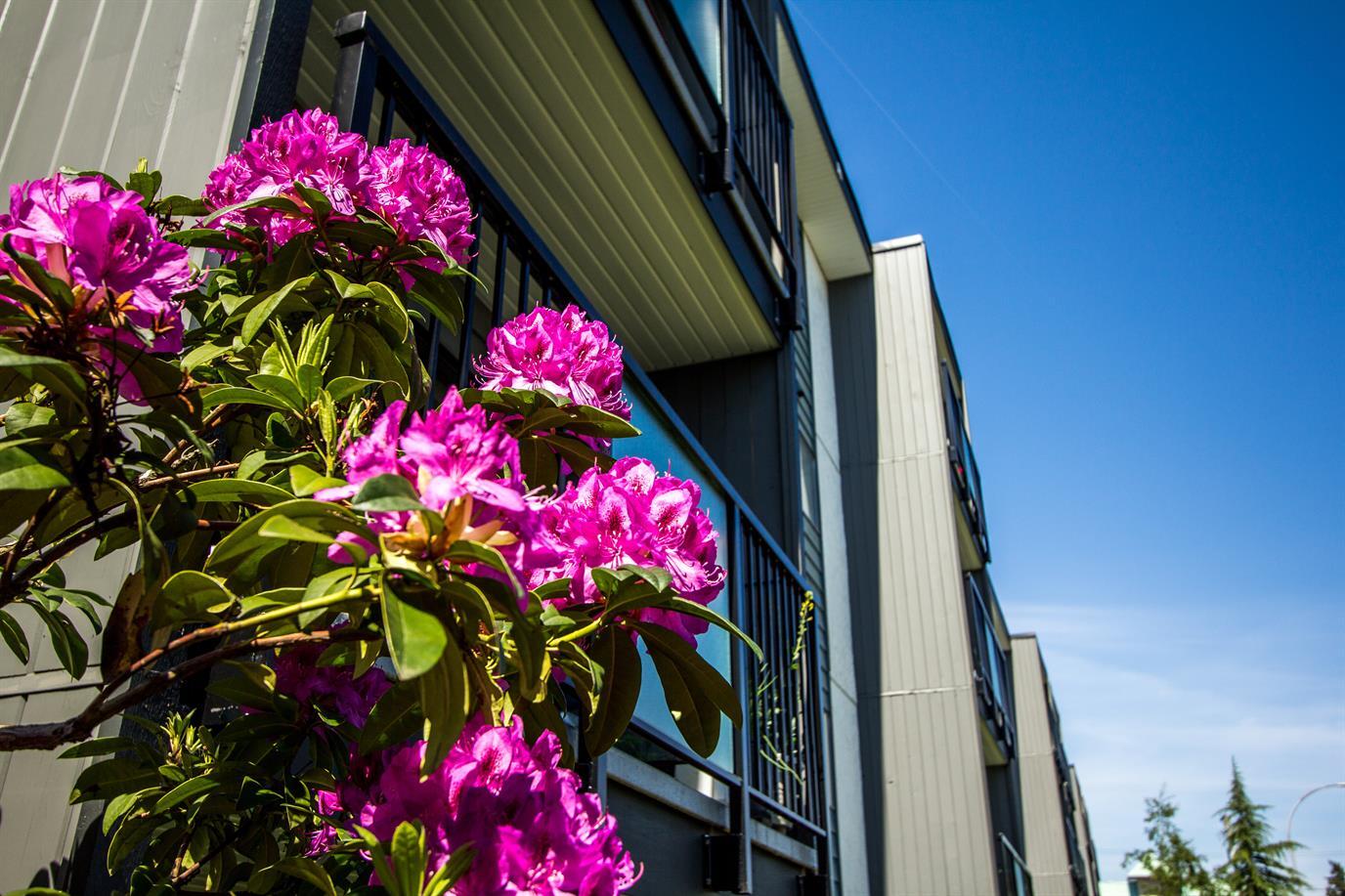 Barons Villa Apartments - Photo 10