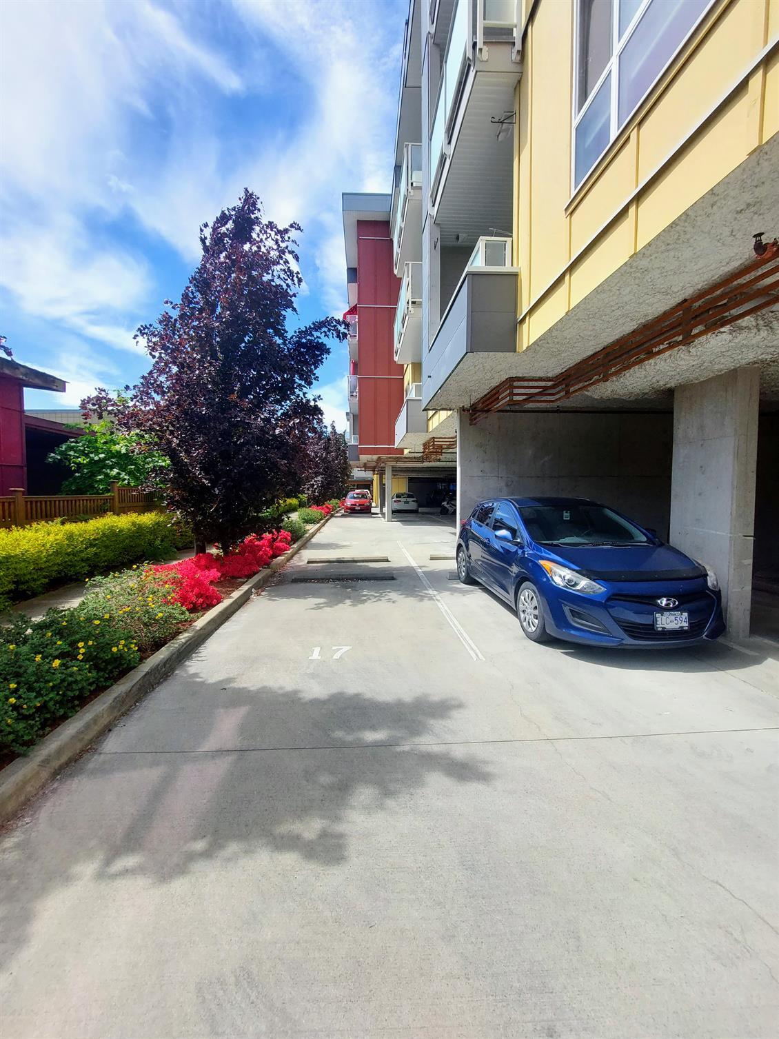 Promenade on Jacklin - Photo 13