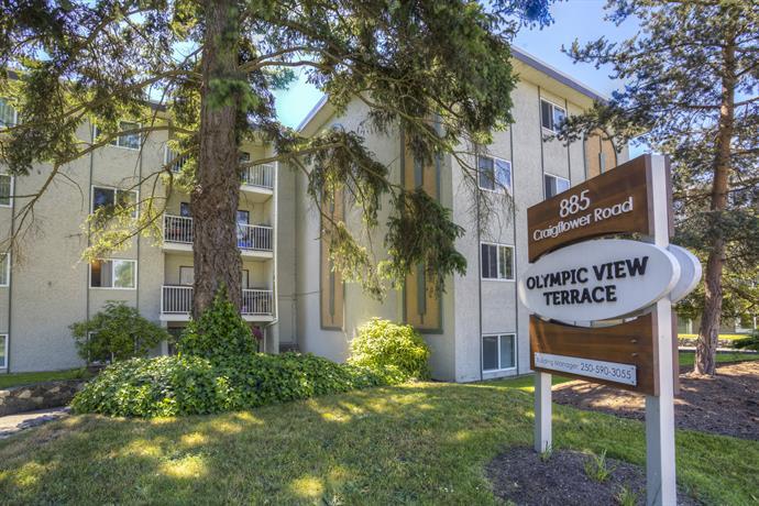 Olympic View Terrace