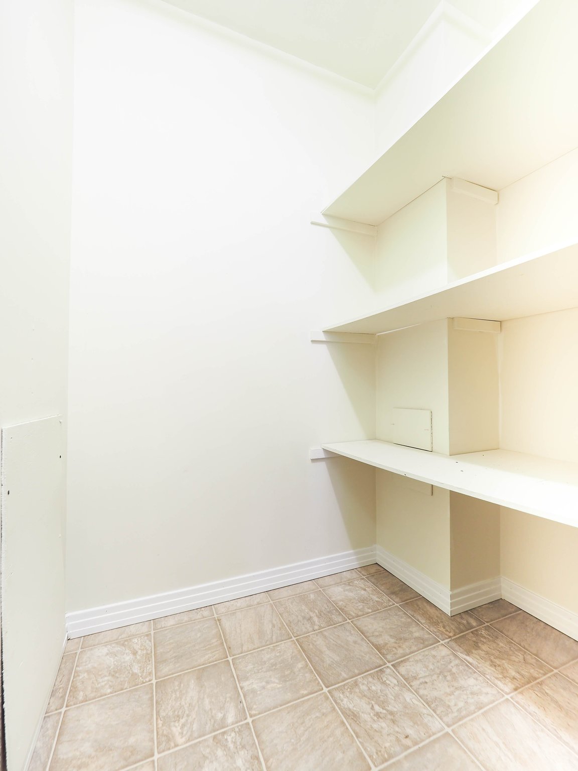 Elm Tree Place - Photo 6