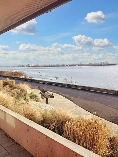 Riverport Flats - R4 - Photo 17