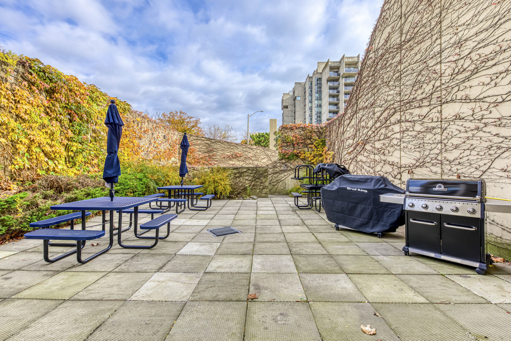 Premier Court Apartments - Photo 9