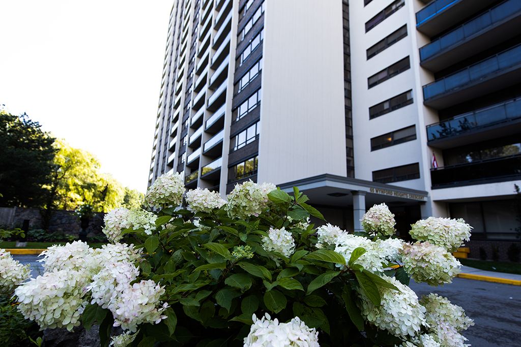 Apartment for rent at 65 Wynford Heights Cr. - Photo 4