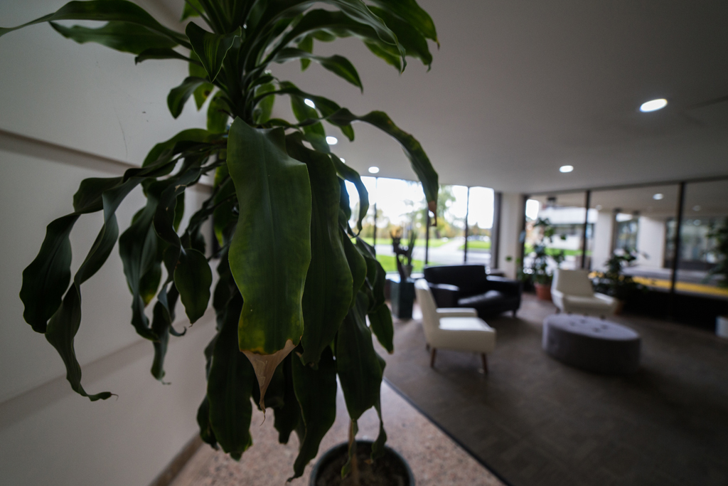 Apartment for rent at 1B Richview Road - Photo 8