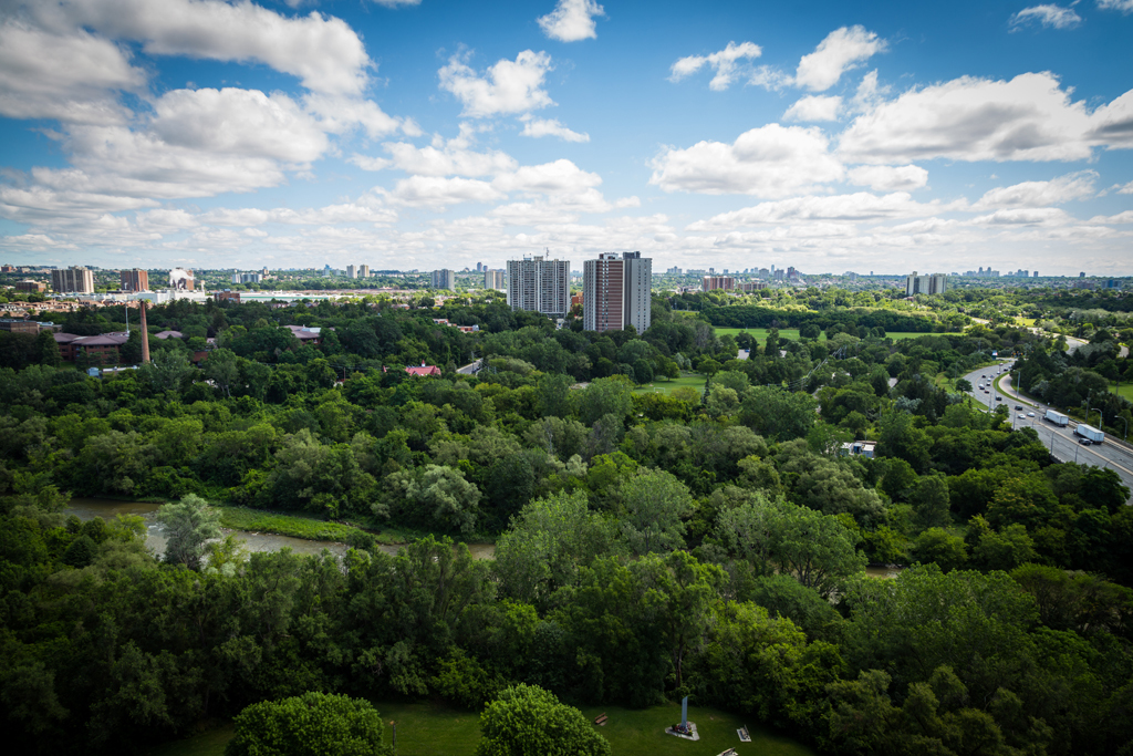 Apartment for rent at 1B Richview Road - Photo 14
