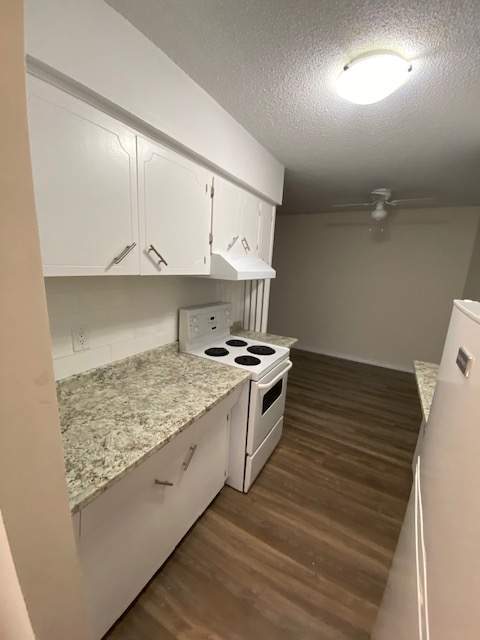 Mapleview Place - Photo 6