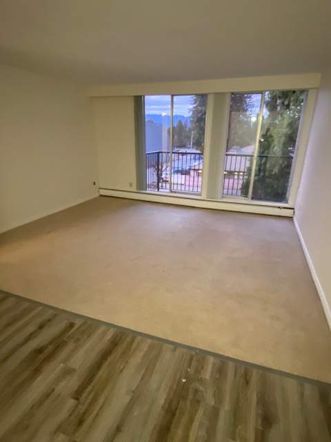 Mapleview Place - Photo 18