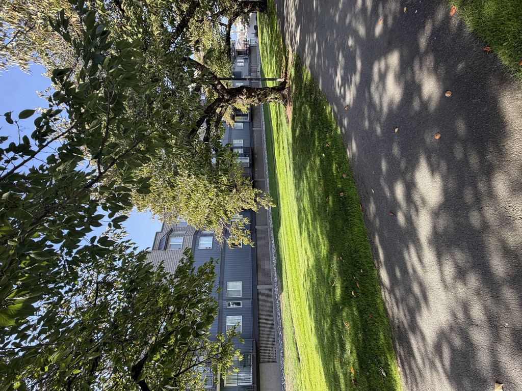 Lakeside Court