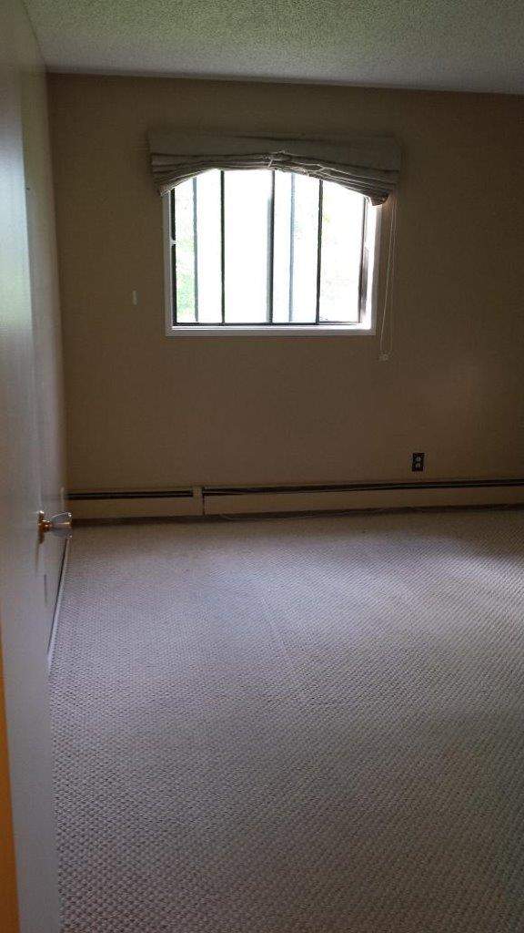 275 Kingsmere Blvd - Photo 12