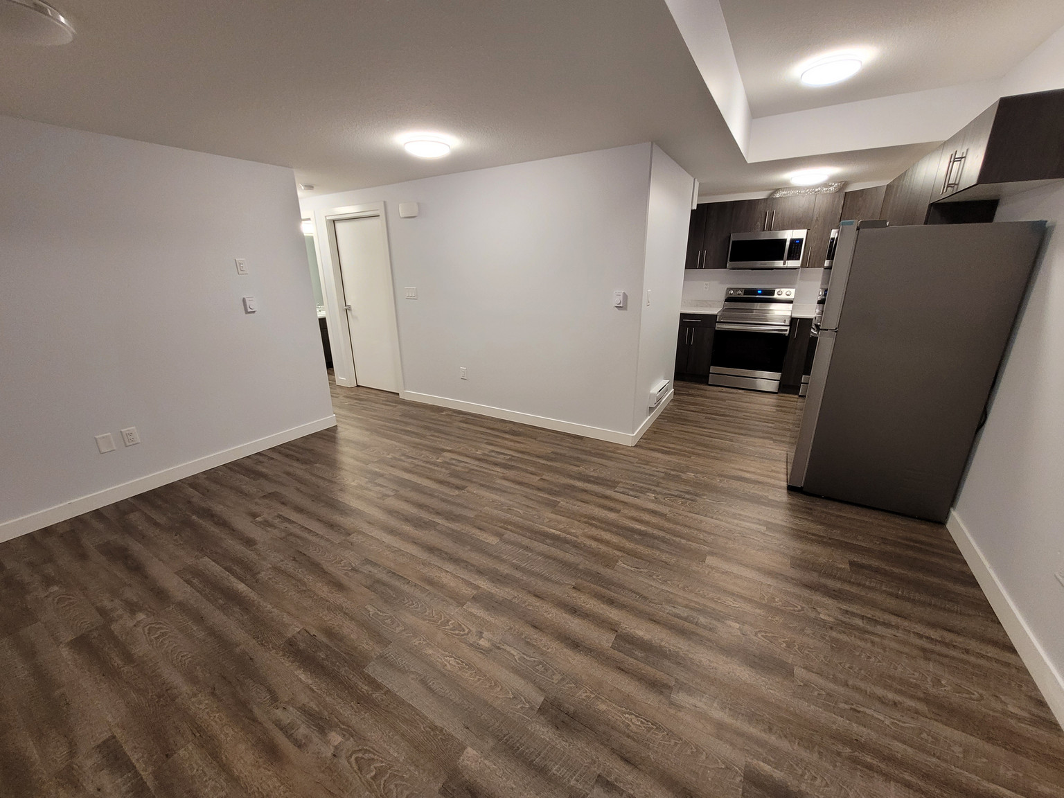 204 Thakur Street (Basement Suite) - Photo 2