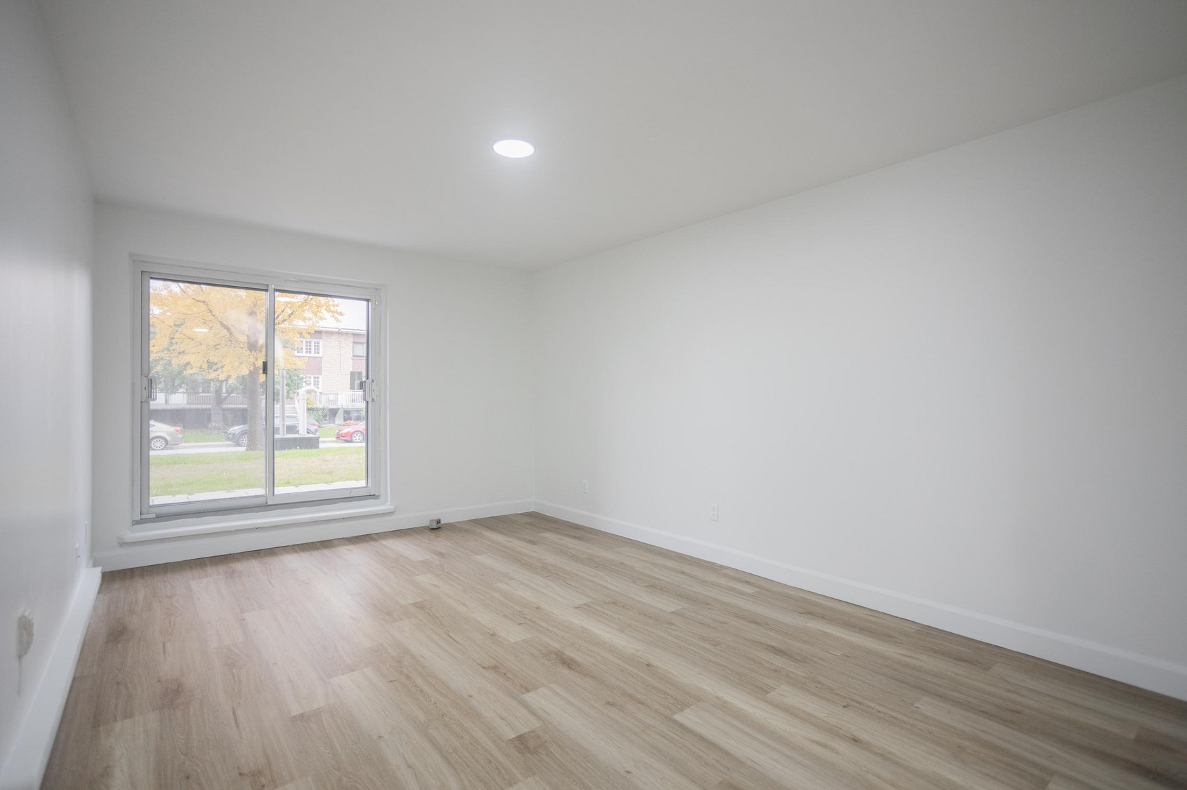 2705 MODUGNO - Photo 10