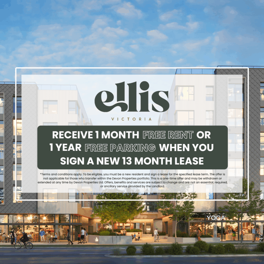 Ellis - Photo 2