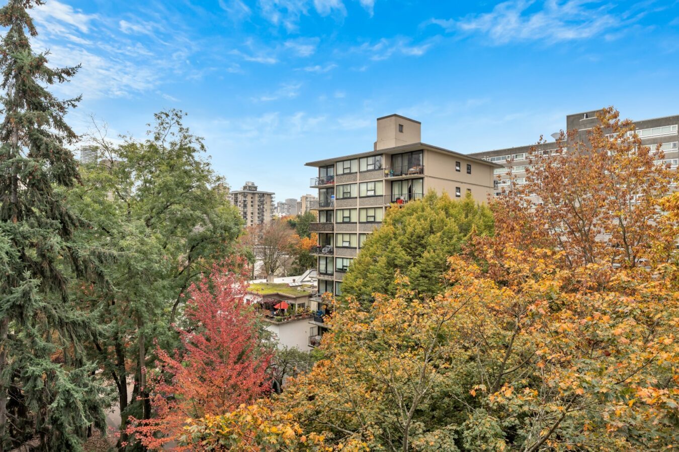 Haro Apartments - Photo 6