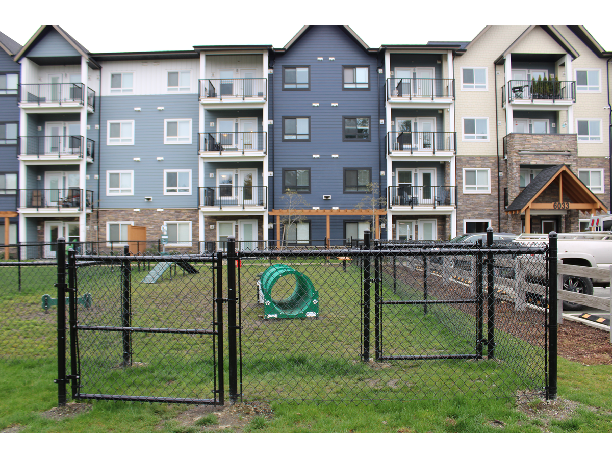 Bluestone  - Photo 4