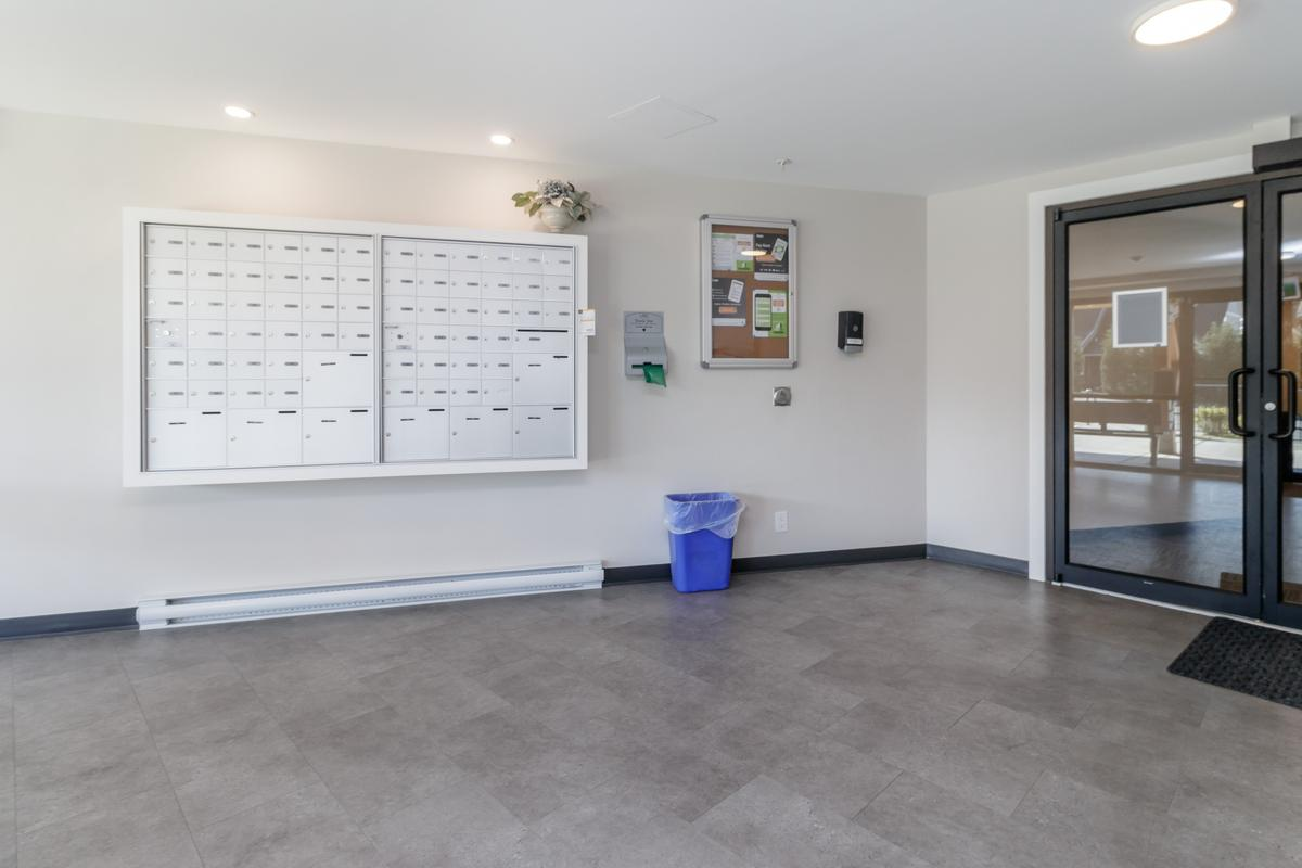 Arbutus Apartments - Photo 3