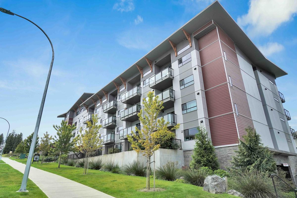 Arbutus Apartments - Photo 9