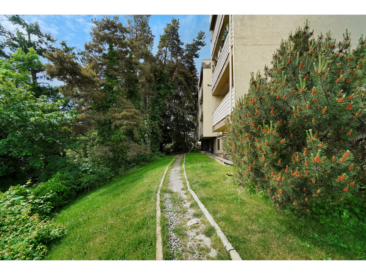 252 Gorge Rd E - Photo 2