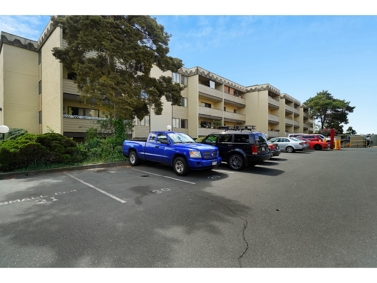 252 Gorge Rd E - Photo 4