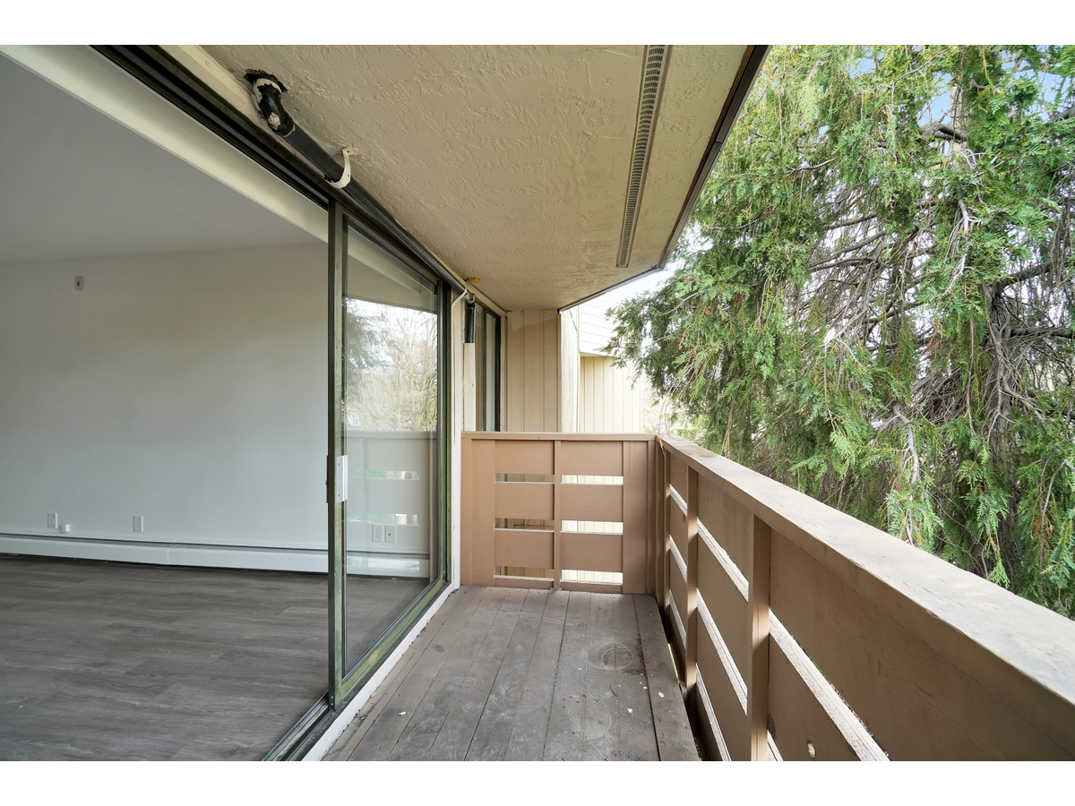 3255 Cook St - Photo 9